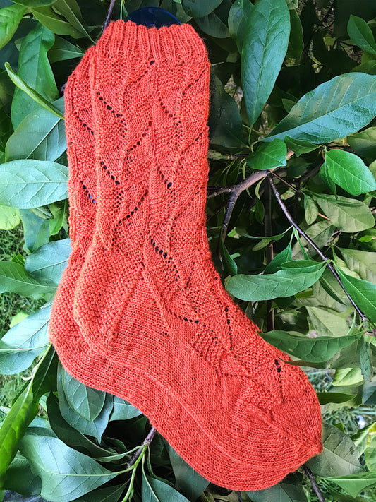 Rostrata Socks Pattern